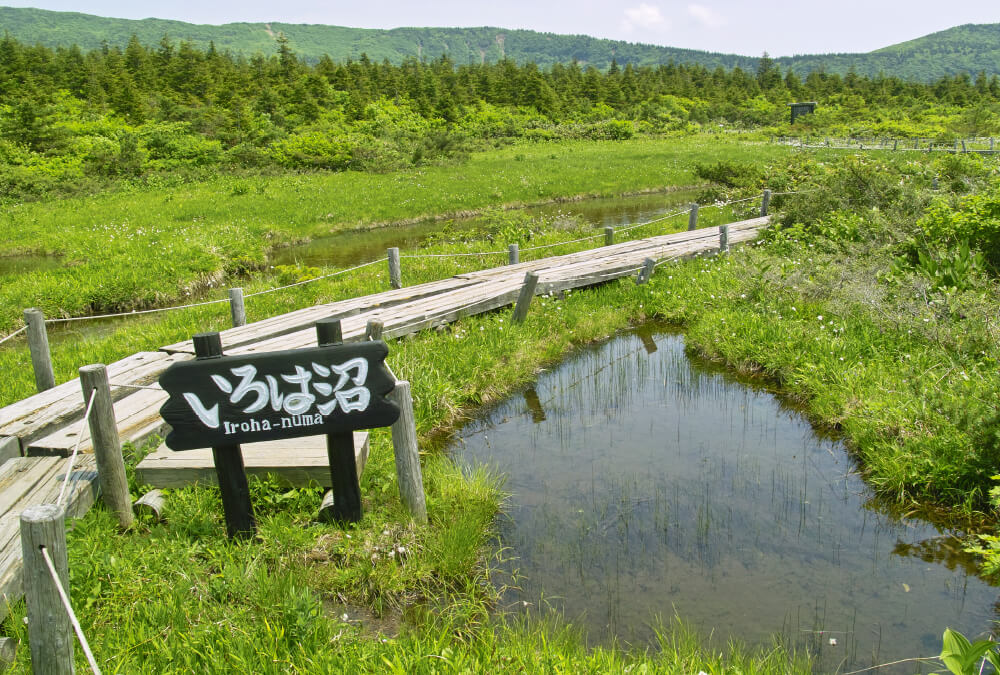 伊吕波沼·观松平